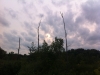 2012-08-16-19-09-43