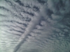 IMG00386-20110918-1706
