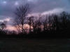 IMG00942-20111110-1737