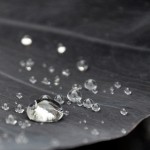 Beading Water