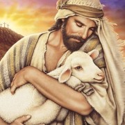 Jesus Sheep Jesus Sheep