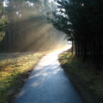 The Small Way