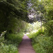 NarrowPath