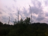 2012-08-16-19-08-52