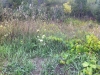 2012-08-16-19-08-37
