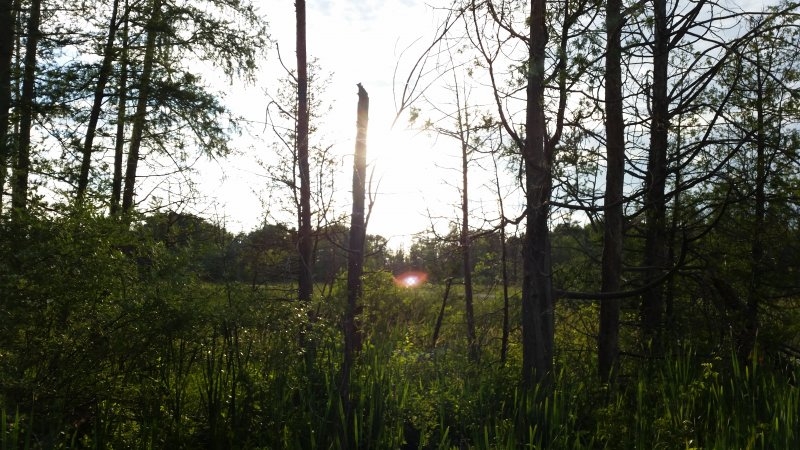 20140705_200135_Android