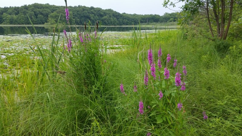 20140714_190058_Android