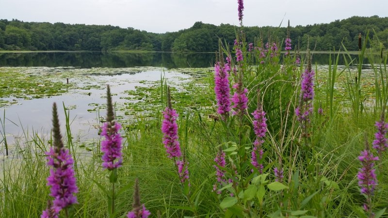 20140714_190122_Android