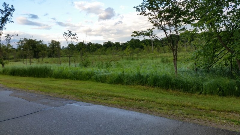 20140715_200239_Android