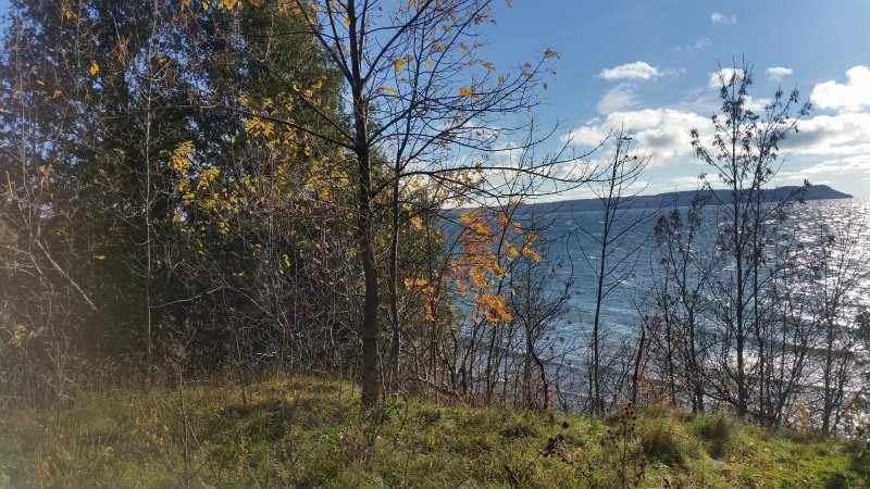 20141018_165303_Android