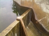 IMG00072-20110718-1841