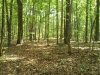 IMG00157-20110810-1042