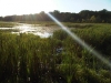 IMG00165-20110821-1912