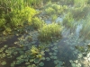 IMG00184-20110821-1916