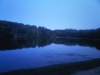IMG00260-20110828-2036