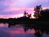 IMG00322-20110907-2002
