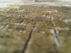 IMG00378-20110918-1428