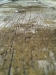 IMG00379-20110918-1428