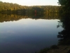 IMG00389-20110920-1910