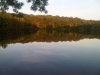 IMG00392-20110920-1911