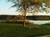 IMG00510-20111005-1844