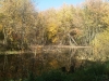 IMG00551-20111009-1154