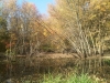 IMG00552-20111009-1154