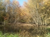IMG00553-20111009-1155