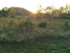 IMG00567-20111009-1845