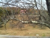 IMG00697-20111031-1206
