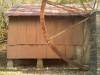 IMG00710-20111031-1237