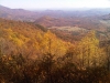 IMG00766-20111101-1338