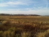 IMG00872-20111106-1220