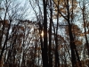 IMG00882-20111106-1341