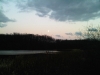 IMG00900-20111109-1725