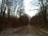 IMG00919-20111110-1653