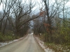 IMG00921-20111110-1657