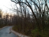 IMG00925-20111110-1659