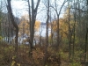 IMG00926-20111110-1704