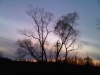 IMG00948-20111111-1732