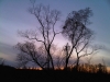 IMG00950-20111111-1732