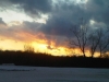 IMG01302-20120128-1728