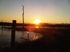 IMG01397-20120205-1737
