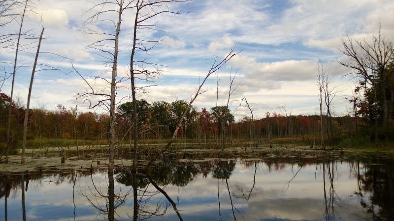 WP_20130930_029