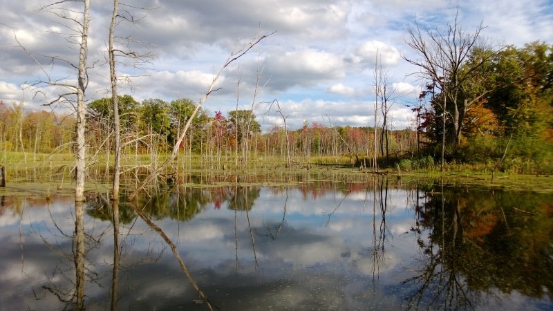 WP_20130930_043