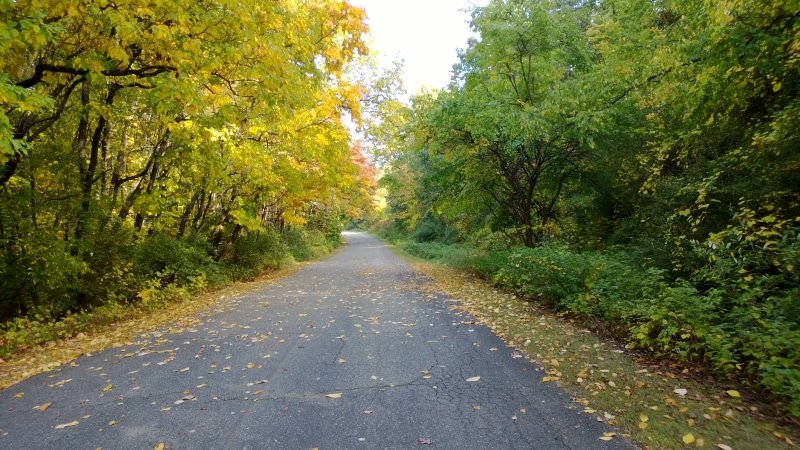 WP_20131001_006