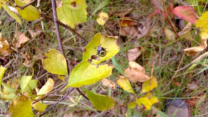 WP_20131001_008