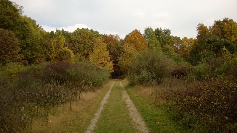 WP_20131015_005