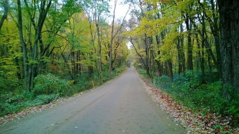 WP_20131030_013
