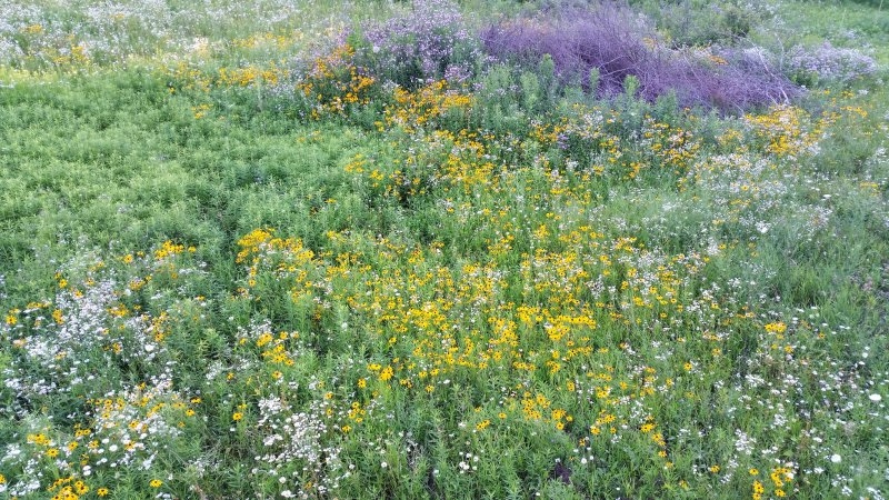 image (4)